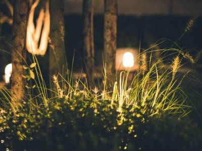 Consejos e ideas para elegir las luces de exterior adecuadas en tu jardín - Foto nº 1